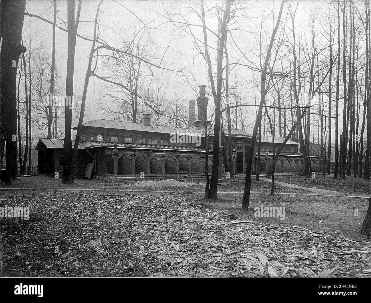 Tierhaus (Vivarium) der Physiologischen Abteilung, Kaiserliches Institut für Experimentelle Medizin, St. Petersburg. Foto, 1904. Stockfoto