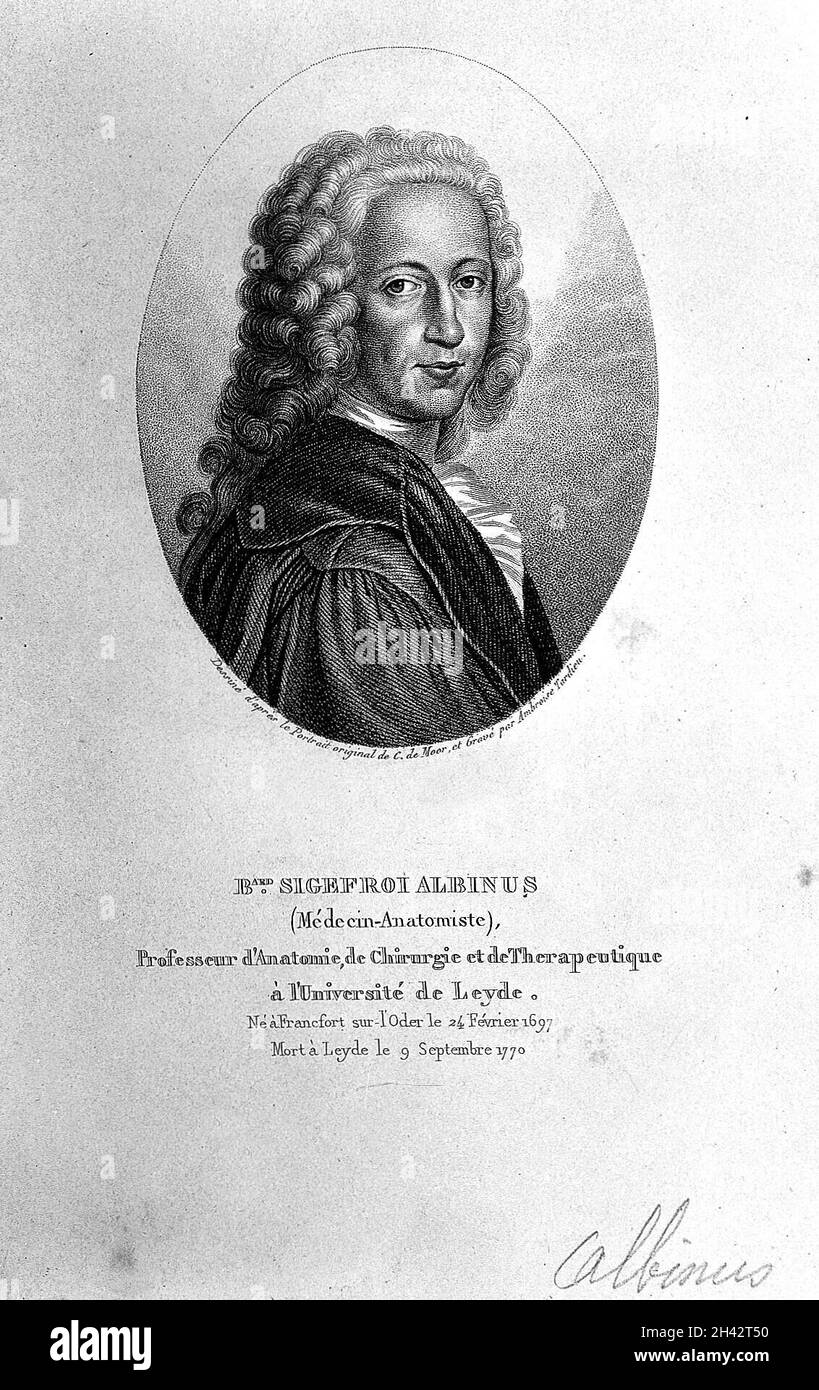 Bernhard Siegfried Albinus. Gravur, 1828. Stockfoto