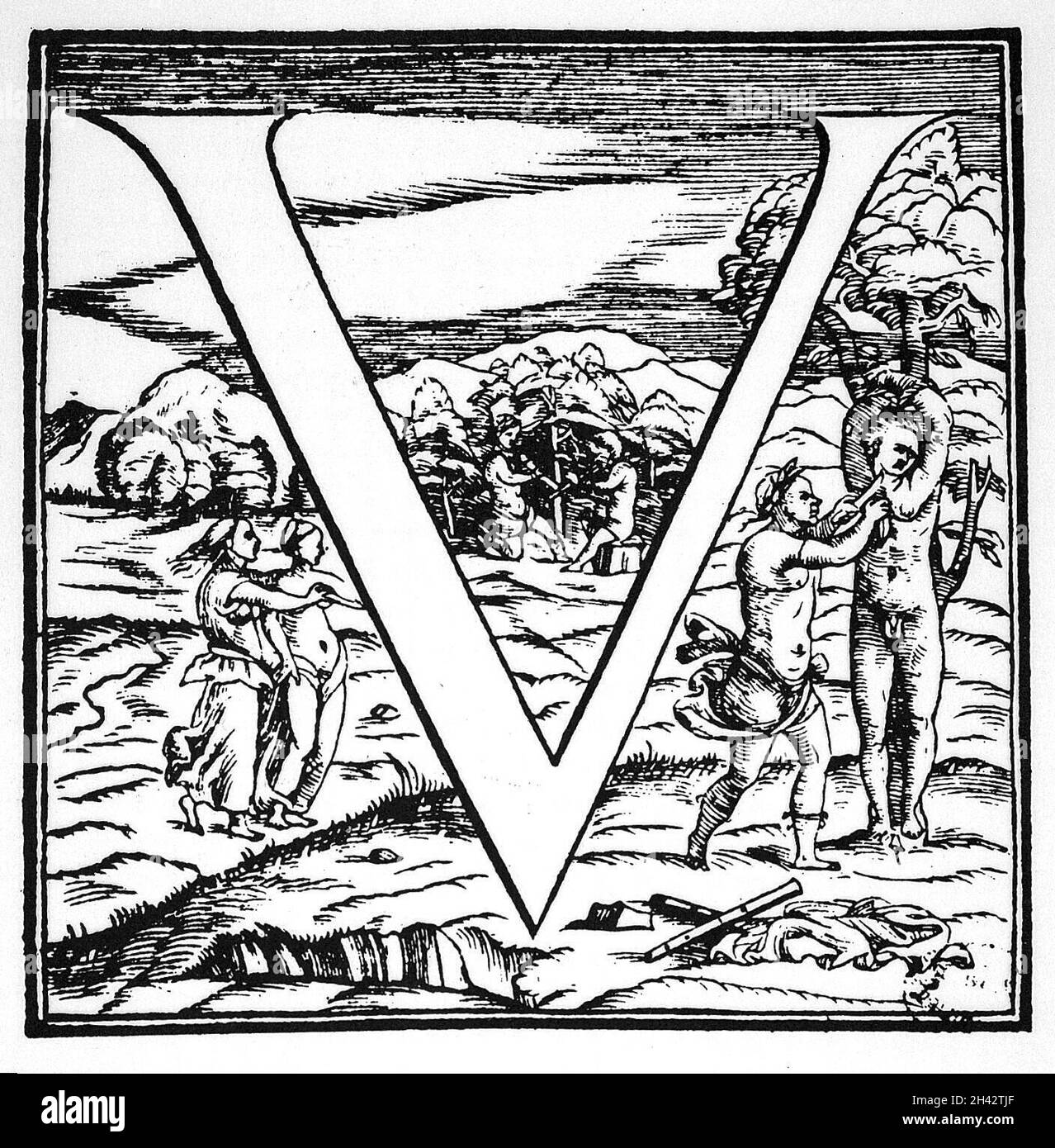 A. Vesalius, De humani corporis fabrica Stockfoto