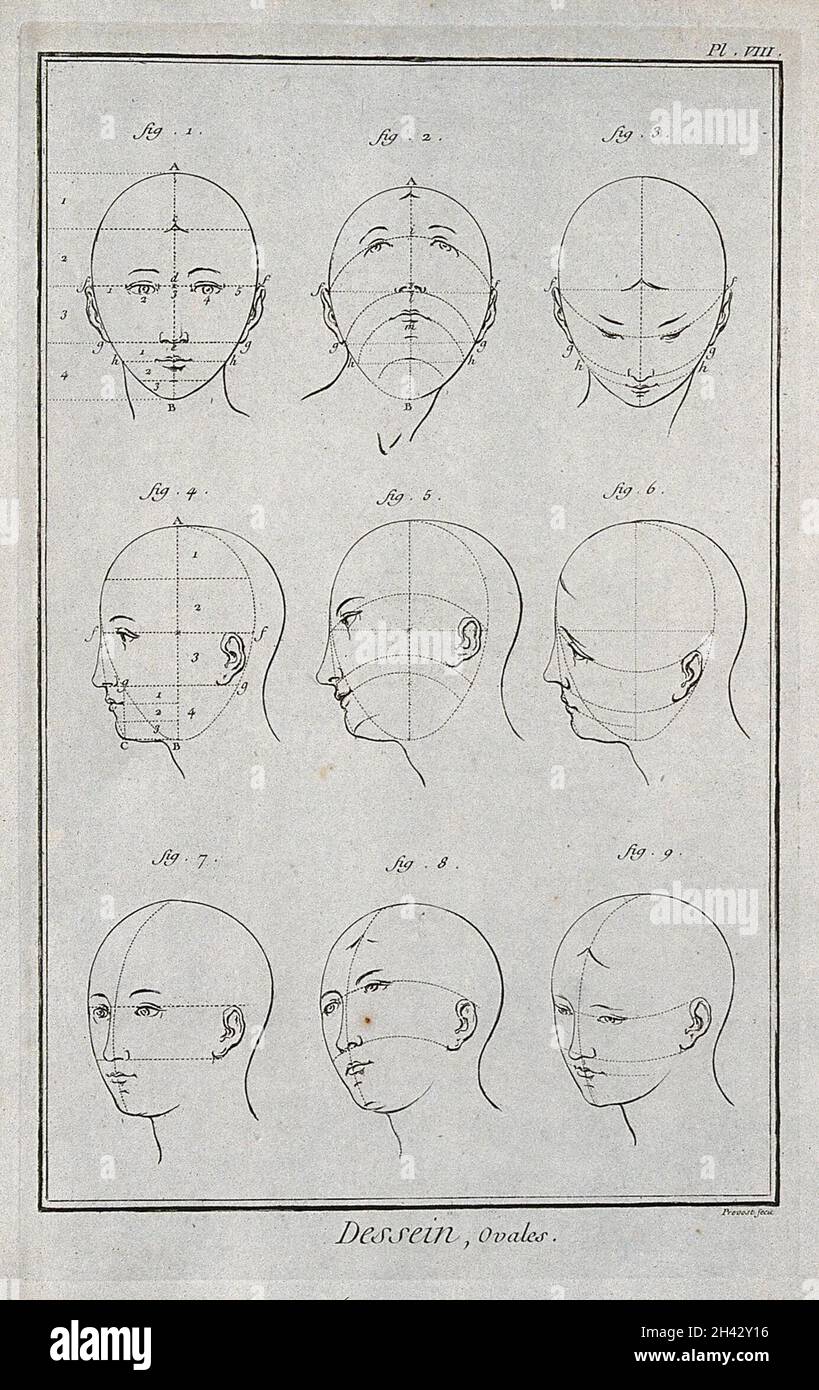 Ovale Köpfe. Stich von B.L. Prevost. Stockfoto