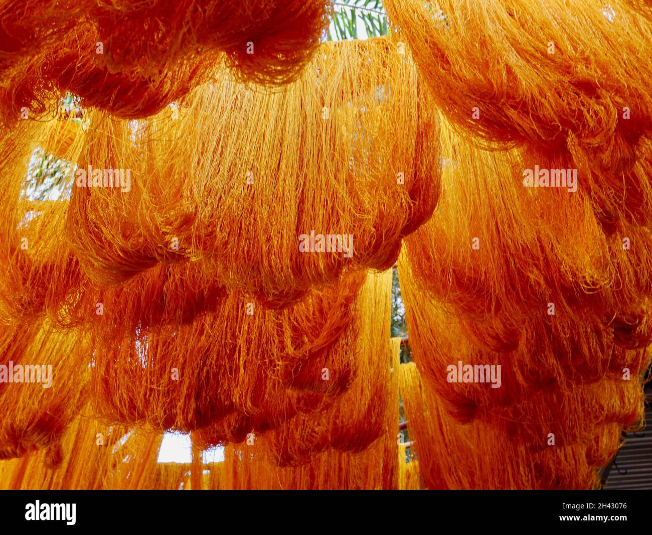 Bündeln gefärbter Wolle hängen zum Trocknen im Färber-Souk, Marrakesch, Marokko. Stockfoto