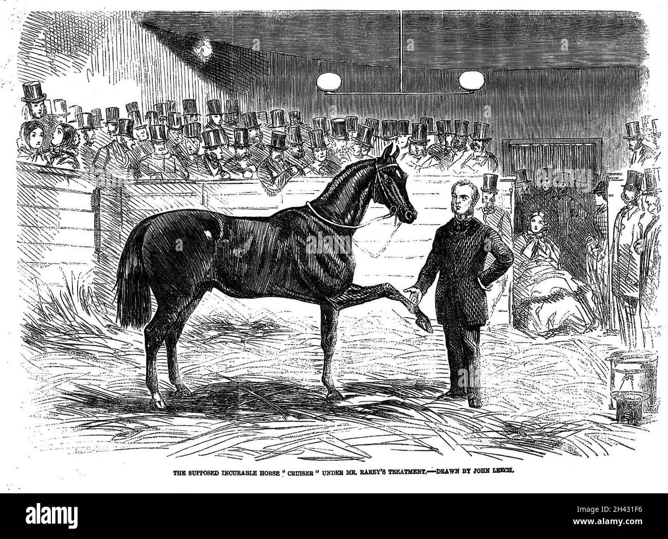 Amerikanischer Pferdetrainer, 19. Jahrhundert. Stockfoto