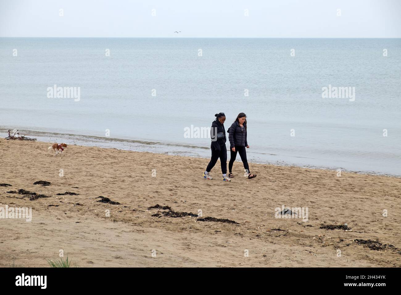 Zwei junge Frauen und Hunde, die im Oktober am Strand von Camber Sands spazieren, Rye Kent England, Großbritannien, KATHY DEWITT Stockfoto