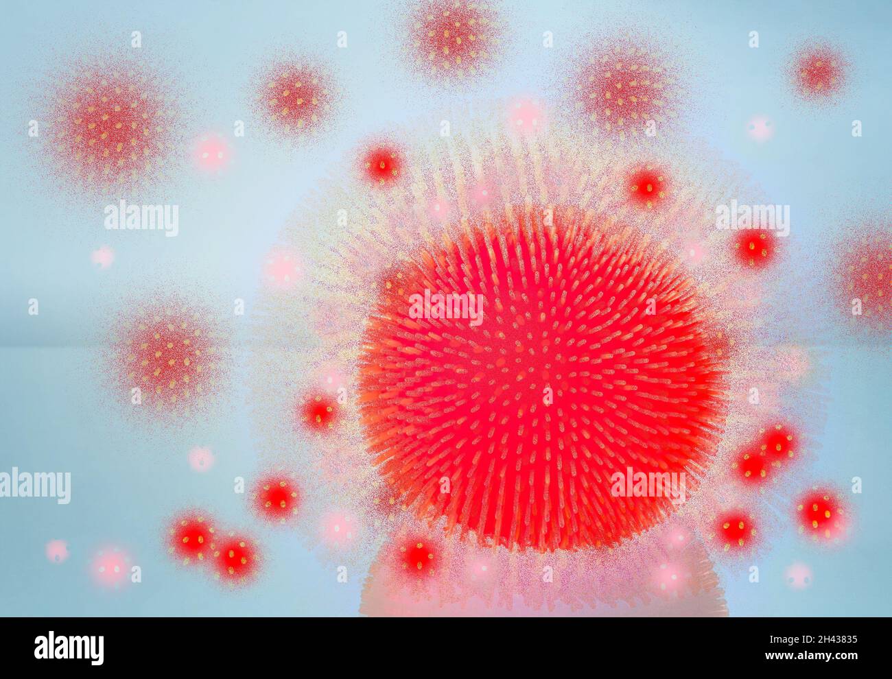Coronavirus-Zelle. Zerstörung der Hülle. Mutation. Wiedergabe. Stockfoto