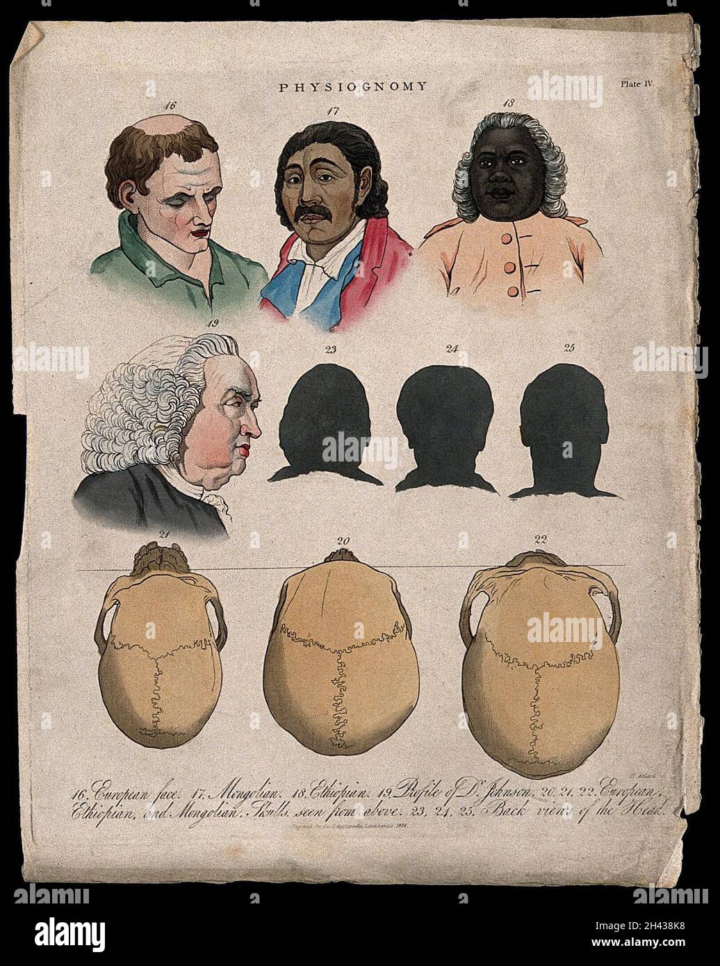 Vier Gesichter: Ein Europäer, ein Mongoler, ein Äthiopier und ein Profil von Samuel Johnson; drei frontale Silhouetten; drei Schädel derselben Rasse von oben gesehen (in der Reihenfolge europäisch, äthiopisch und mongolisch). Kolorierte Kupferstich von J. Pass, 1824. Stockfoto