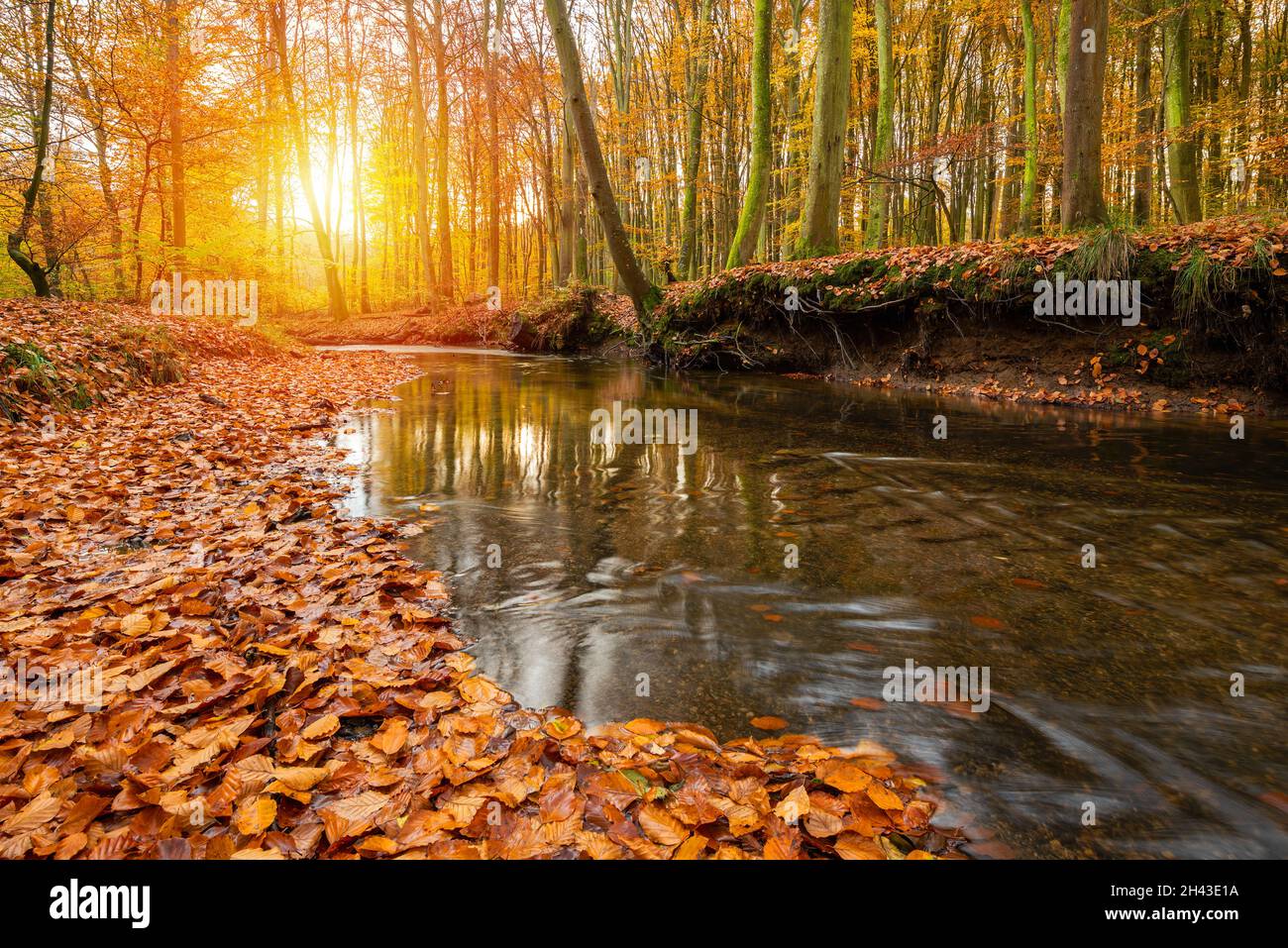 Der Herbst vergeht mit untergehenden Sonnenstrahlen Stockfoto