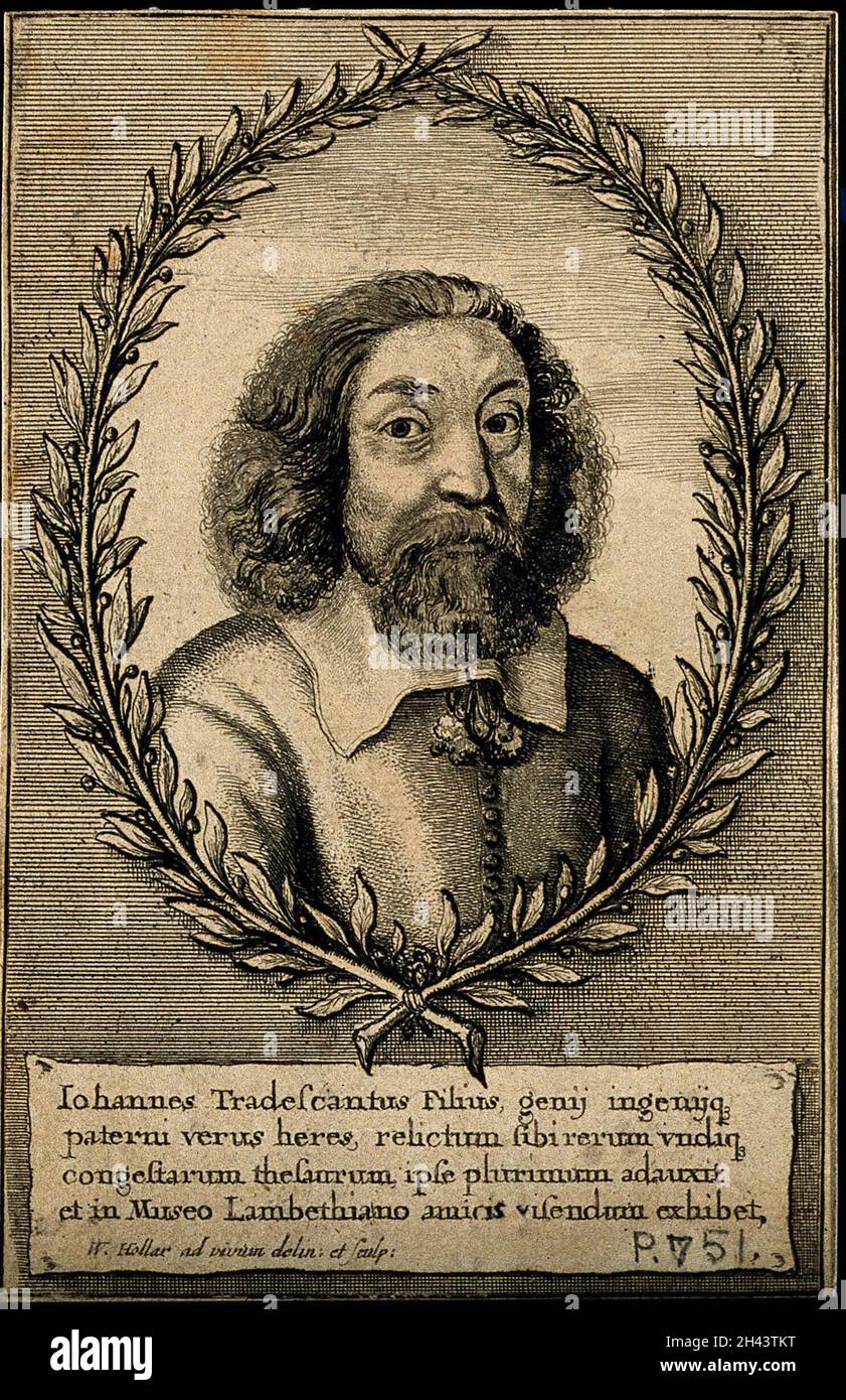 John Tradescant II. Radierung von W. Hollar, 1656, nach sich selbst. Stockfoto