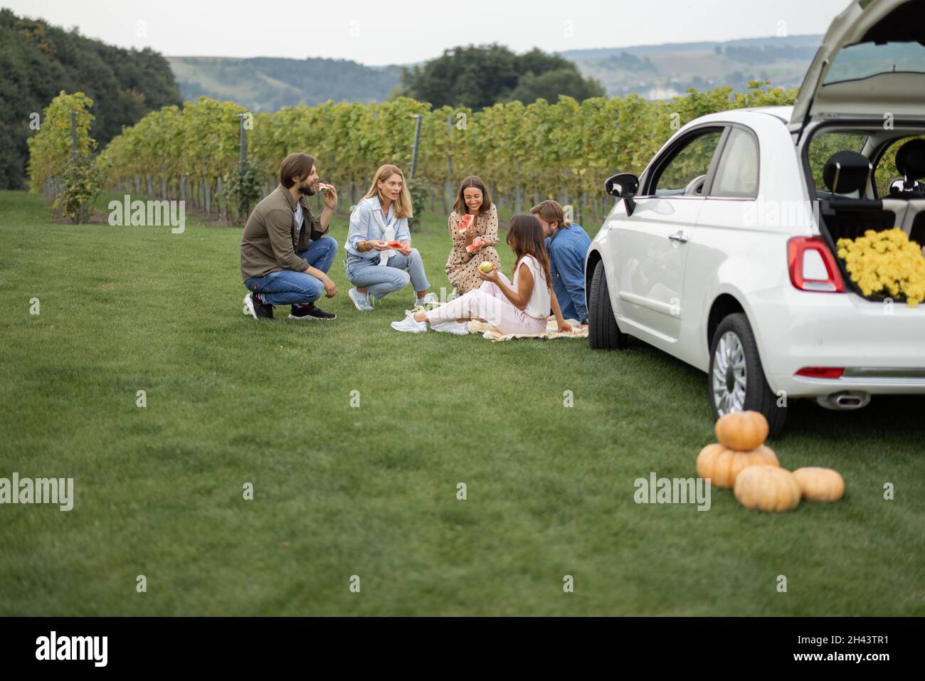 Freunde auf einem Picknick in der Nähe von Weinbergen Stockfoto