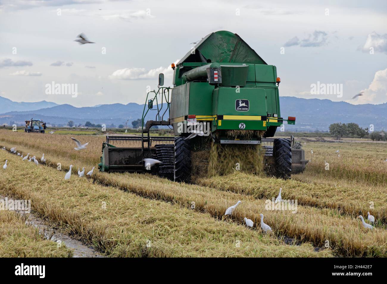 Spanien, Katalonien, August 2021. Roadtrip im August 2021 in Spanien. Stockfoto