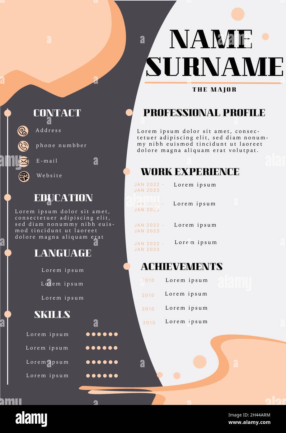 Professionelle CV-Design-Vorlage Stock Vektor