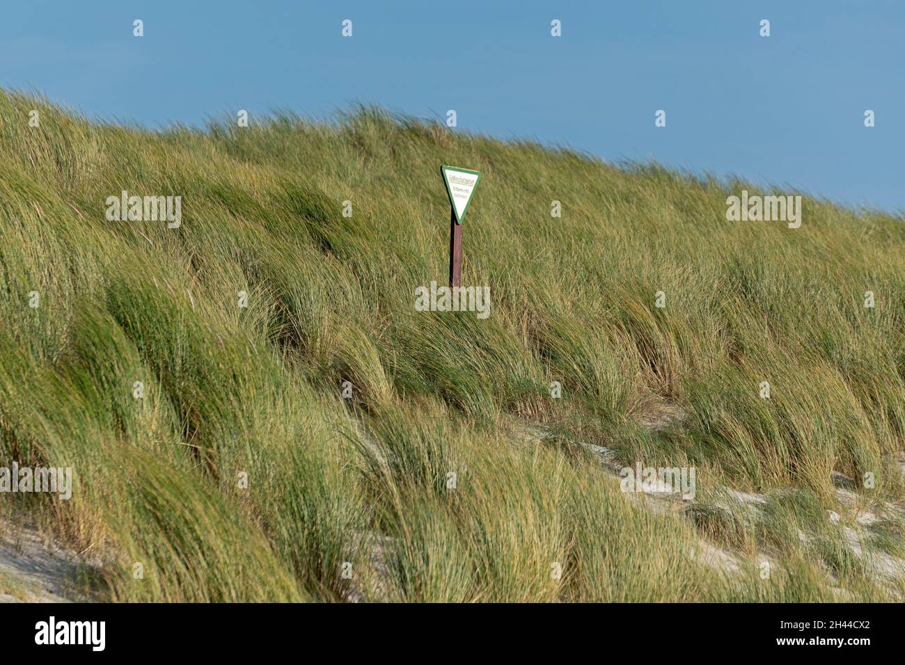 Kein Eindringungsschild in den Dünen auf Düne, Helgoland Island, Schleswig-Holstein, Deutschland Stockfoto