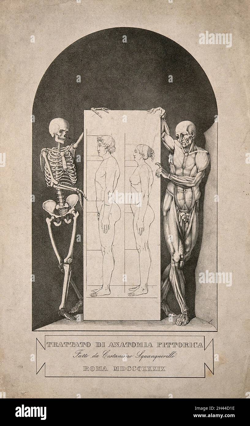 Skelett- und Ecorché-Figur mit Plakat mit männlichen und weiblichen Figuren: Halbtitelseite zu 'Trattato di anatomia pittorica'. Lithographie nach C. Squanquerillo, 1839. Stockfoto Skelett- und Ecorché-Figur mit Plakat mit männlichen und weiblichen Figuren: Halbtitelseite zu 'Trattato di anatomia pittorica'. Lithographie nach C. Squanquerillo, 1839. Stockfoto