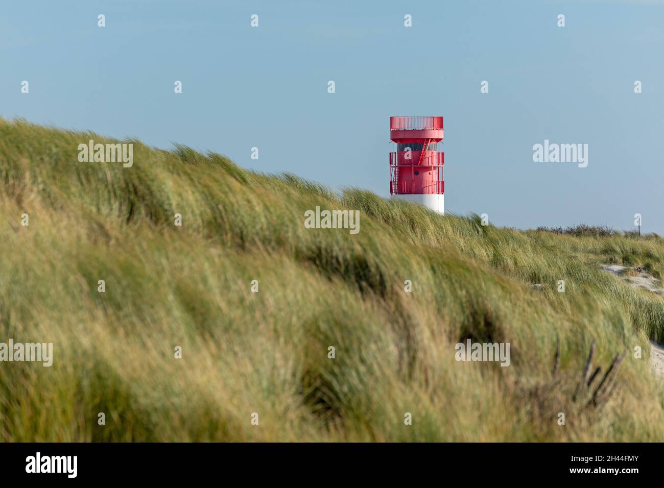 Dünen und Leuchtturm, Düne, Helgoland Island, Schleswig-Holstein, Deutschland Stockfoto