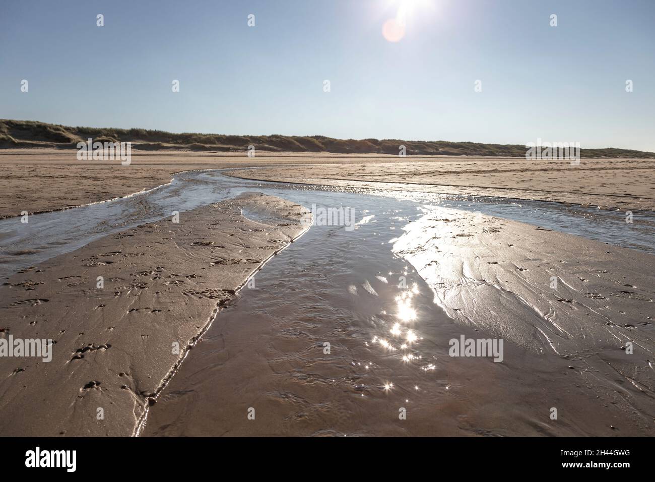 Nasser Sand am Strand, Dünen im Hintergrund Stockfoto