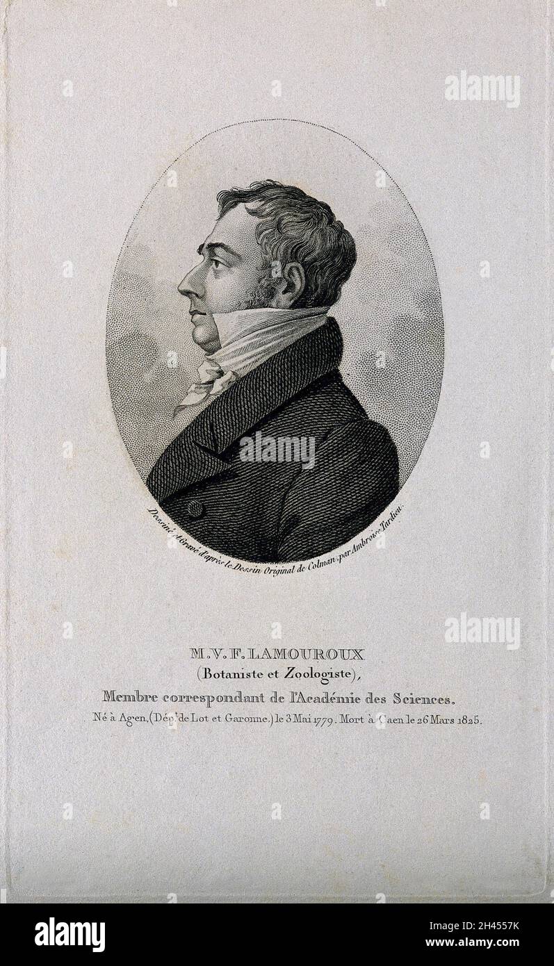 Jean Vincent Félix Lamouroux, Profil links. Stich von A. Tardieu nach sich selbst nach J. S. Colman. Stockfoto