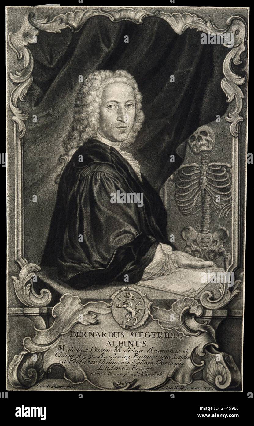 Bernhard Siegfried Albinus. Mezzotint von J. J. Haid nach C. de Moor. Stockfoto