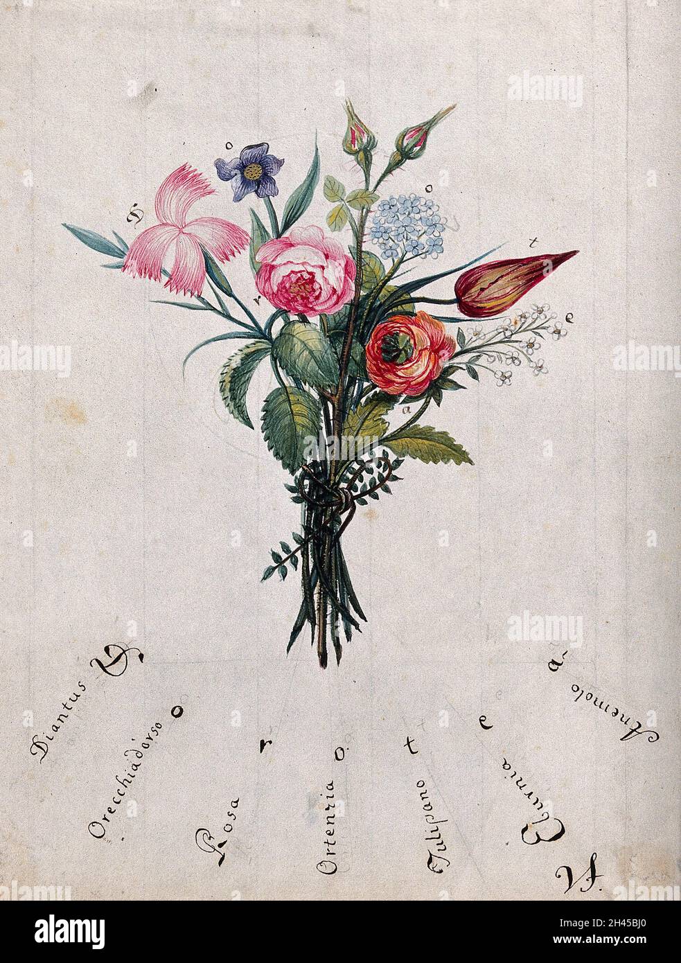 Ein Blumenstrauß, dessen Anfangsbuchstaben „Dorotea“ bedeuten. Aquarell von V.F. Stockfoto