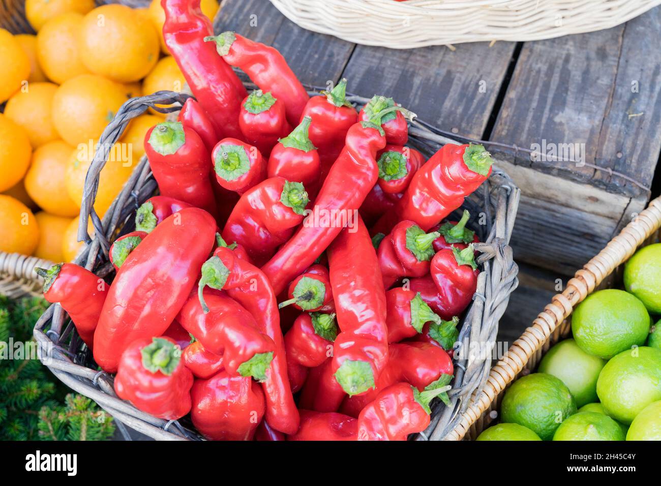 Frischer roter Pfeffer im Weinkorbfest Erntezeit in London Greenwich England Großbritannien Stockfoto