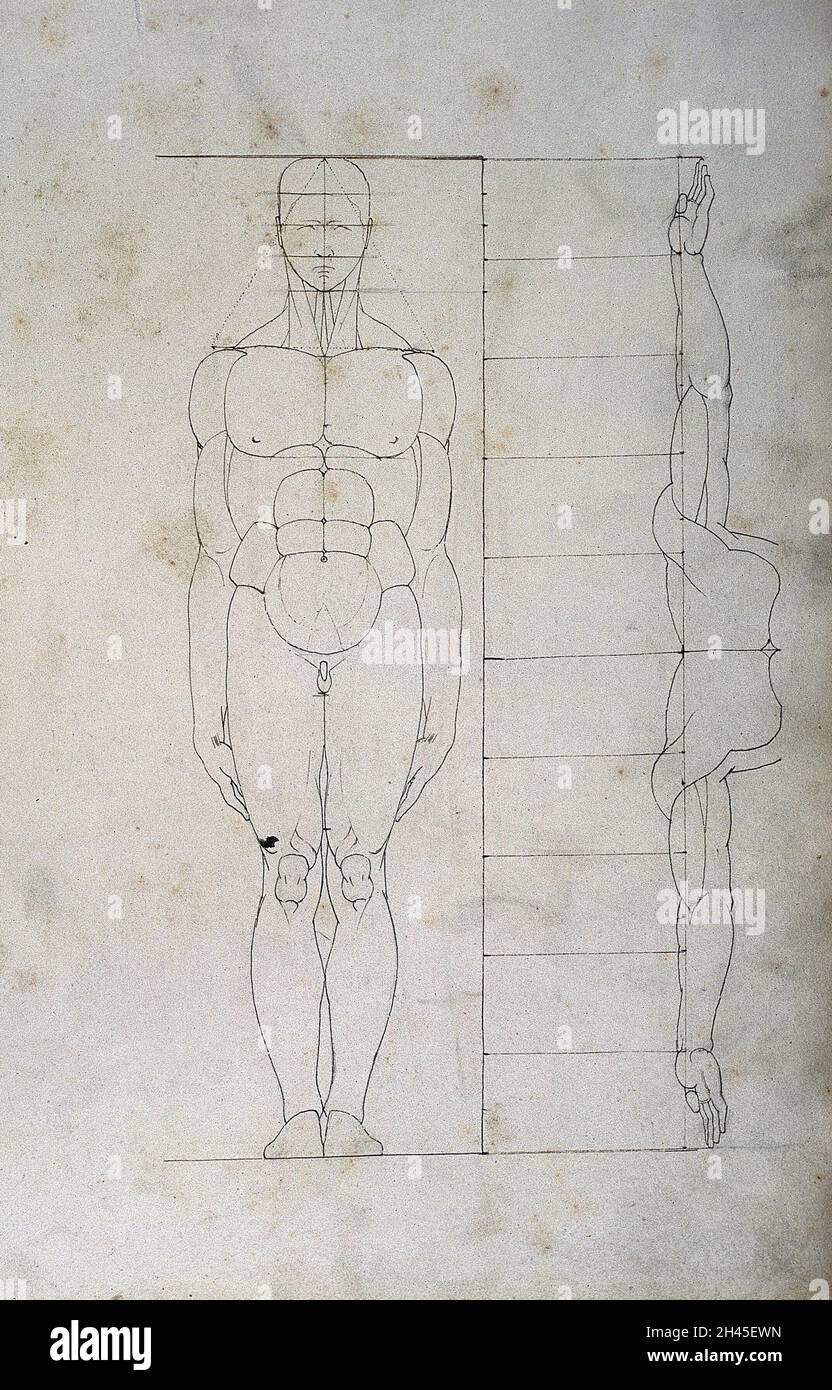 Menschliche Proportionen: Zwei Figuren. Zeichnung, 18--. Stockfoto