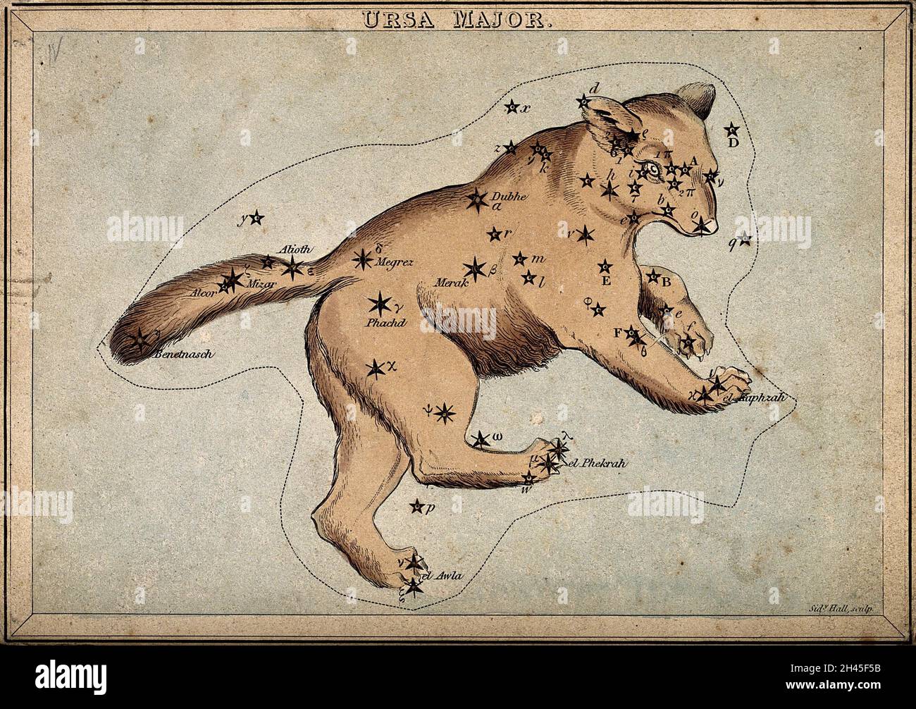 Astrologie: Sternbilder, der große Bär. Farbige Gravur. Stockfoto