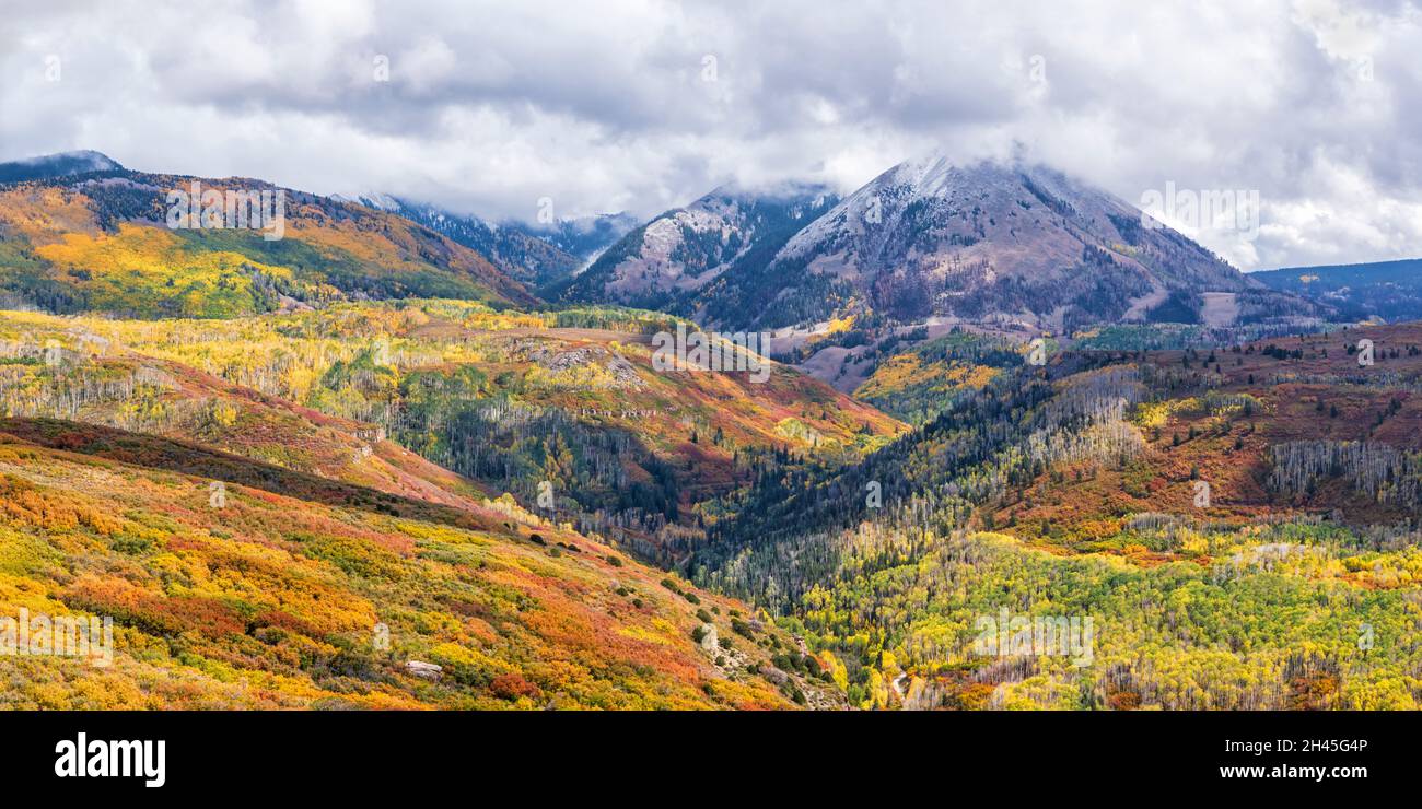 Lebhafte Herbstfärbung in Buscheichenwäldern und Espenwäldern im Manti-La Sal National Forest unterhalb des Haystack Mountain in der Nähe von Moab, Utah. Stockfoto