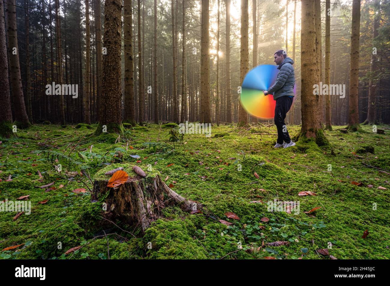 Ein glücklicher Mann steht im hellen und moosigen Wald und dreht seinen Regenbogenschirm schnell, um einen farbenfrohen Effekt zu erzielen. Schöner Herbst Stockfoto