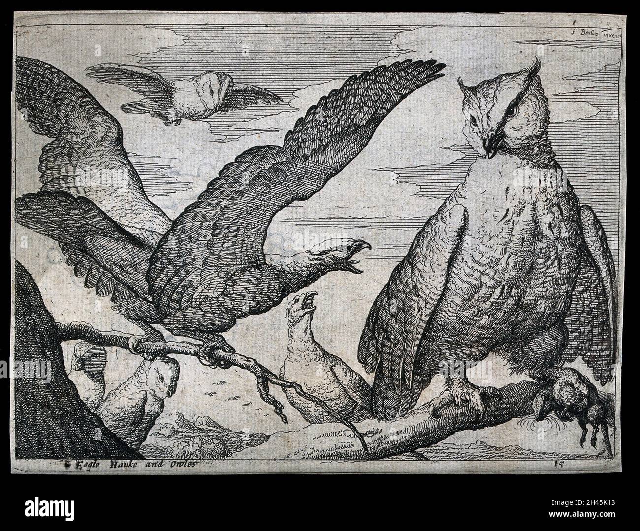 Ein Adler schreit auf eine große Eule. Radierung nach F. Barlow, 17. Jahrhundert. Stockfoto