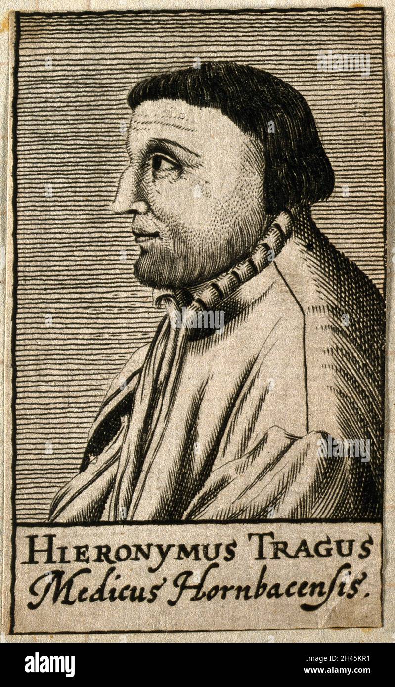 Hieronymus Bock [Tragus]. Linienstich nach D. Kandel, 1688. Stockfoto