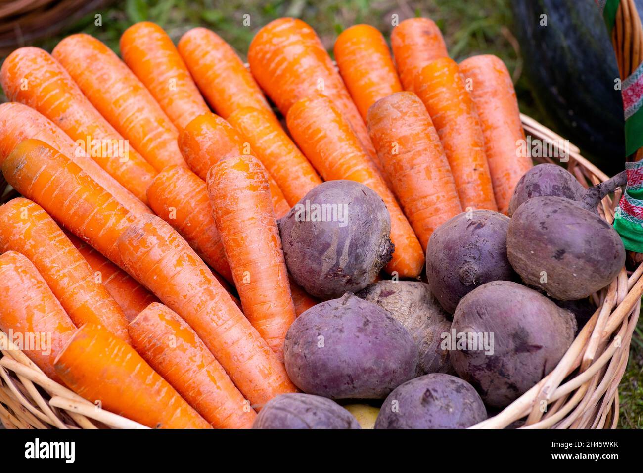 Orangefarbene Karotten und rote Rüben und Gelb im Weidenkorb. Nahaufnahme. Stockfoto