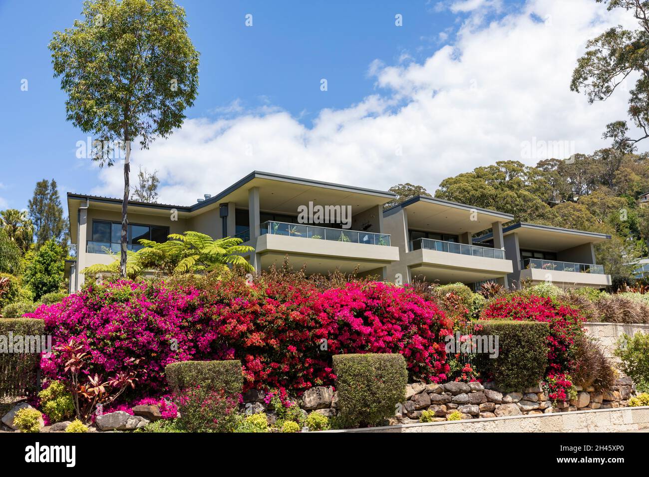 Bayview Sydney, Appartementhäuser mit Bougainvillea, die im Vorgarten blüht, Sydney Northern Beaches Region, NSW, Australien Stockfoto