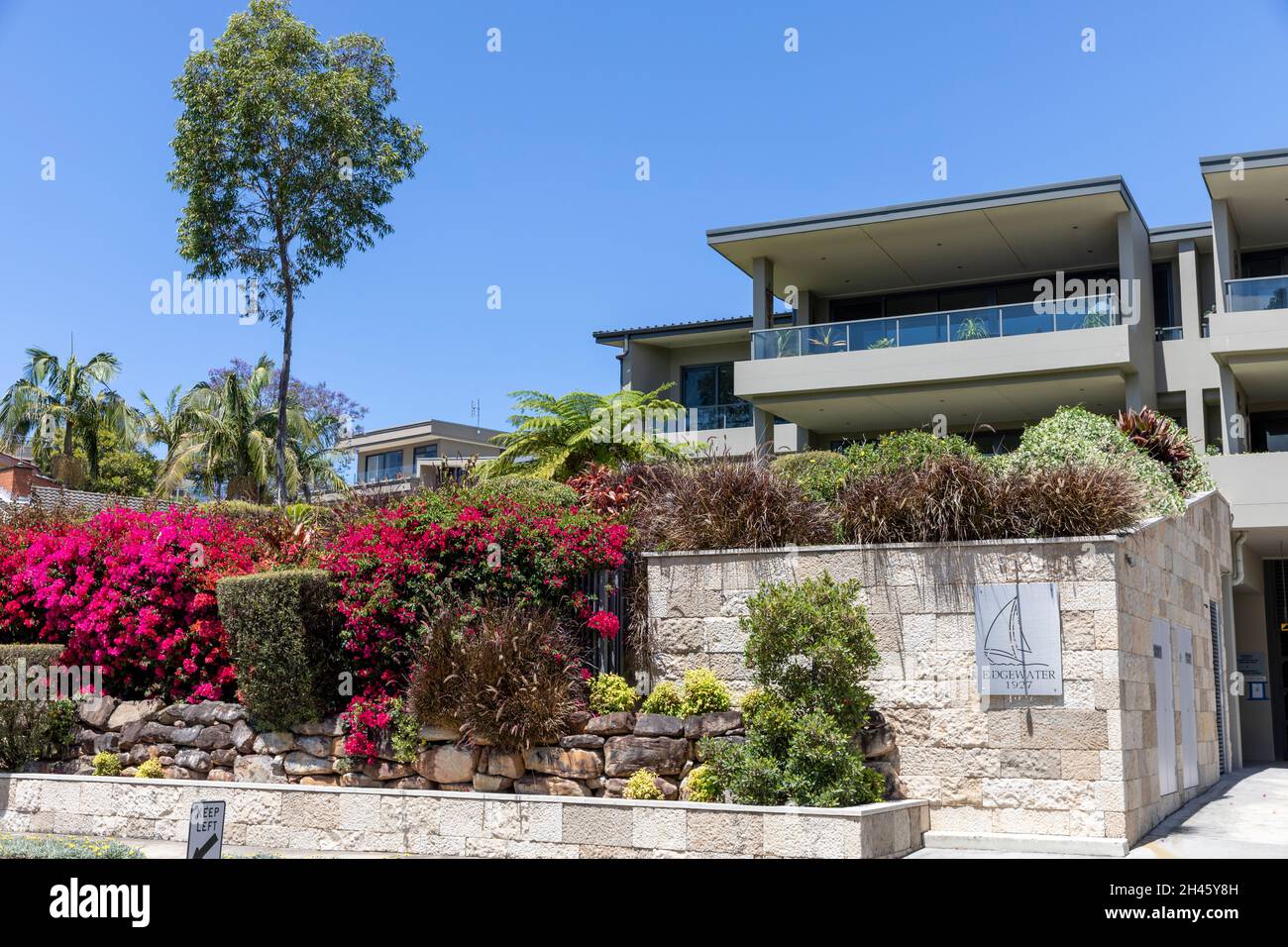 Bayview Sydney, Appartementhäuser mit Bougainvillea, die im Vorgarten blüht, Sydney Northern Beaches Region, NSW, Australien Stockfoto