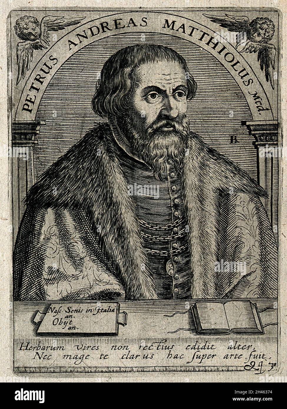 Pietro Andrea Mattioli. Linienstich von T. de Bry nach C. Papi dell'Altissimo. Stockfoto