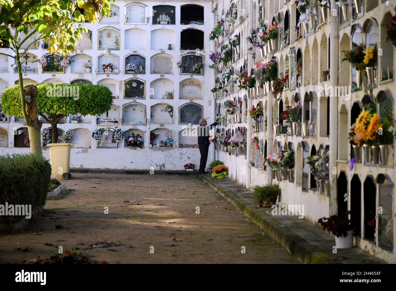 Vendrell, Spanien. September 2021. Ein Mann legt während des Allerheiligen-Tages Blumen auf das Grab eines Verwandten auf dem Friedhof von Vendrell.die Verstorbenen werden auf dem Friedhof der Stadt Vendrell, Spanien, besucht, wo ihre Verwandten und Freunde während des Allerheiligen-Tages, der am 1. November gefeiert wird, Blumen zu ihren Gräbern bringen. (Foto von Ramon Costa/SOPA Images/Sipa USA) Quelle: SIPA USA/Alamy Live News Stockfoto