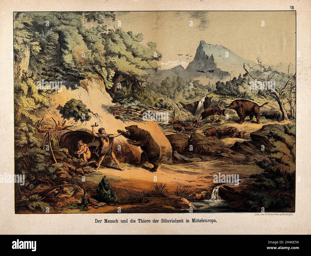 Ein prähistorischer Mann verteidigt seine Familie vor einem angreifenden Bären: Die Familie des Mannes huddelt sich in einer Höhle zusammen, während Mammuts, ein Tiger (?), ein Nashorn und Rinder in der Landschaft dahinter herumwandern. Farblithographie, 1840/1900? Stockfoto