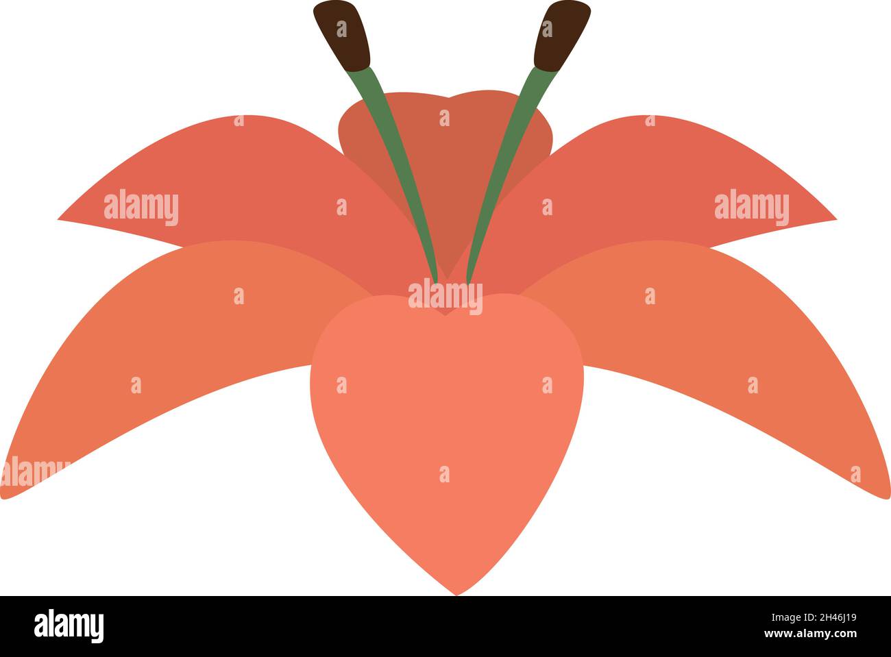 Rosa Blumenlilie, Illustration, Vektor, auf weißem Hintergrund. Stock Vektor