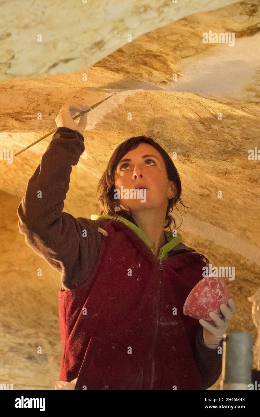 FRANKREICH, MONTIGNAC - LASCAUX, DORDOGNE (24): STANDORT DES STAATES LASCAUX 4 AM 12. OKTOBER 2016. SZENOGRAFISCHES GEBIET, DAS ACHT HAUPTTEILE DES F UMFASST Stockfoto