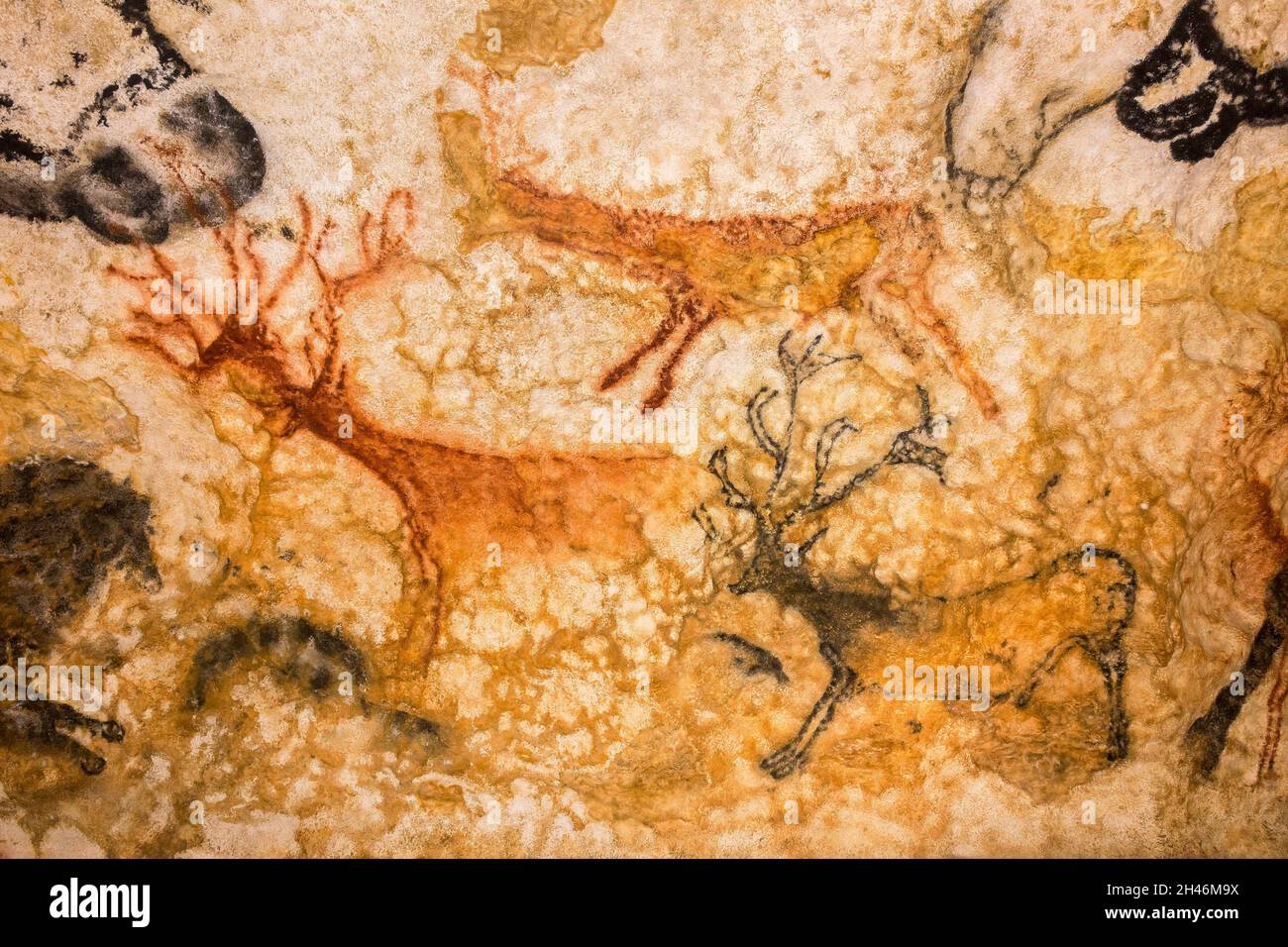 FRANKREICH, MONTIGNAC - LASCAUX, DORDOGNE (24): NENNEN SIE LASCAUX 4 AM 12. OKTOBER 2016. FOTOTOUR DURCH DAS INTEGRALE FAKSIMILE: DIE HALLE O Stockfoto