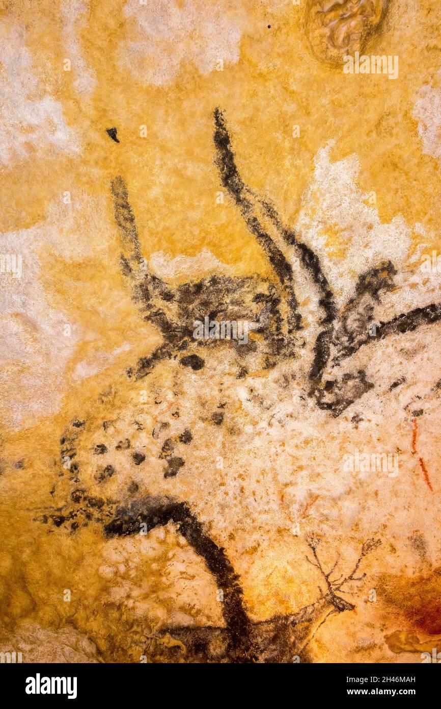 FRANKREICH. MONTIGNAC - LASCAUX, DORDOGNE (24): NENNEN SIE DEN ORT LASCAUX 4 AM 12. OKTOBER 2016. FOTOTOUR DURCH DAS INTEGRALE FAKSIMILE: DIE HALLE O Stockfoto