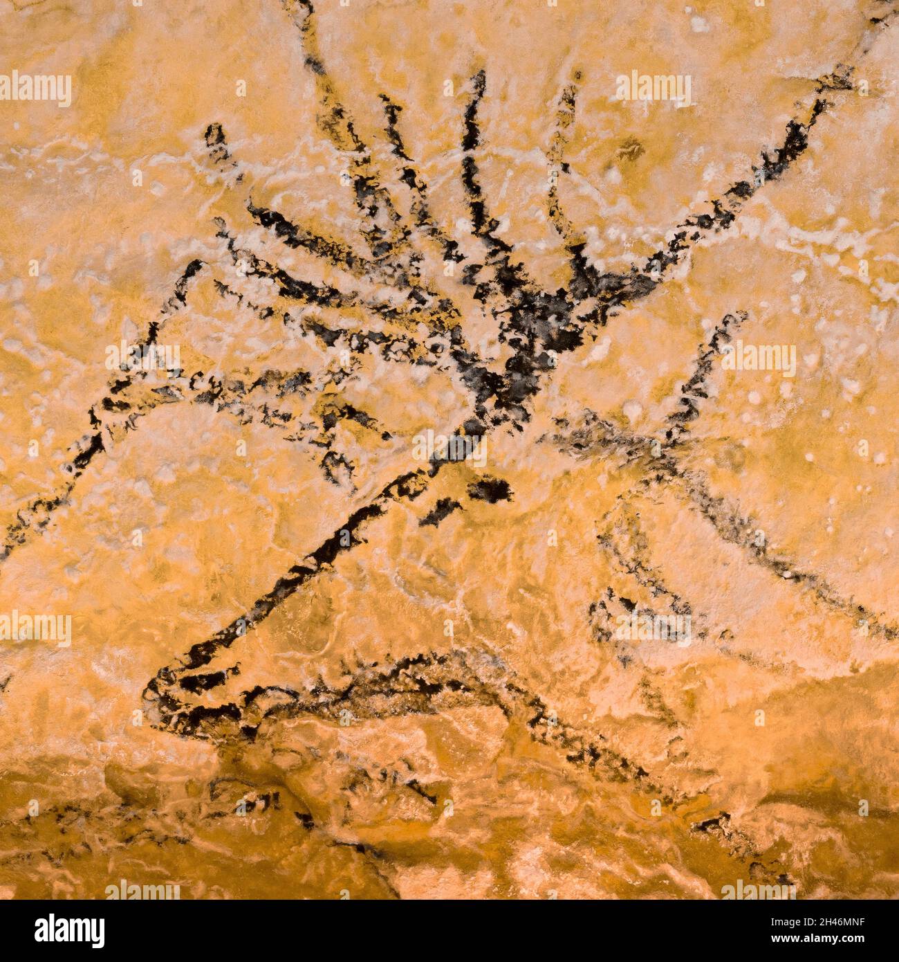 FRANKREICH, MONTIGNAC - LASCAUX, DORDOGNE (24) : STAAT DER STANDORT VON LASCAUX 4 12. OKTOBER 2016. FOTOTOUR DURCH DAS INTEGRALE FAKSIMILE : DIE NEF HAT F Stockfoto