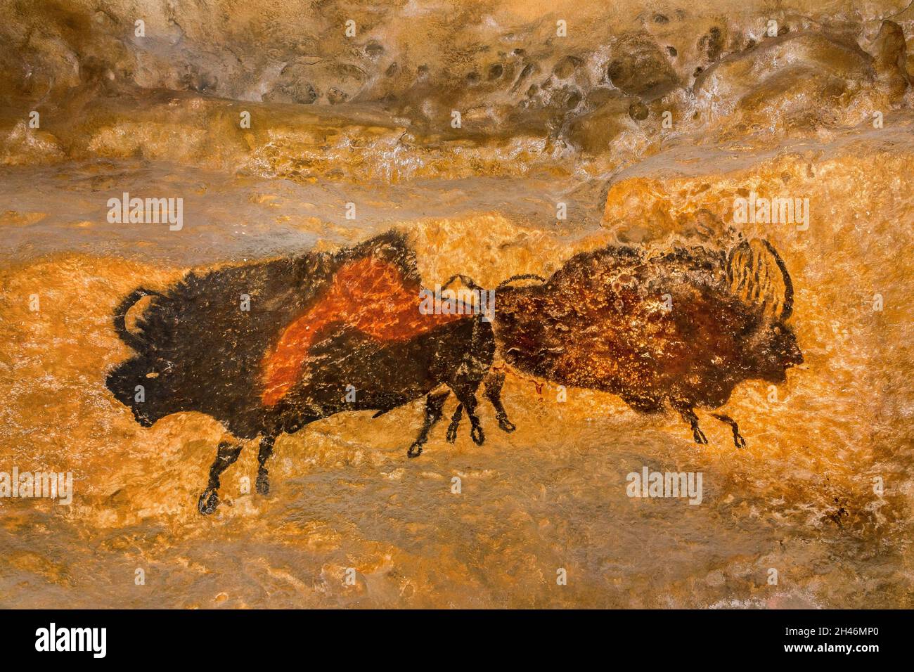 FRANKREICH, MONTIGNAC - LASCAUX, DORDOGNE (24) : STAAT DER STANDORT VON LASCAUX 4 12. OKTOBER 2016. FOTOTOUR DURCH DAS INTEGRALE FAKSIMILE : DIE NEF HAT F Stockfoto
