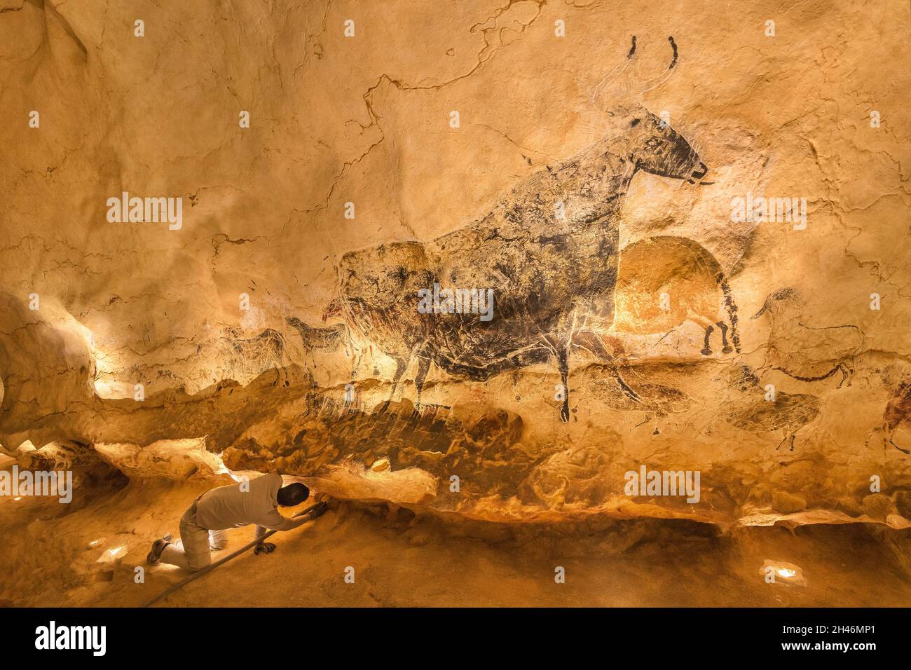FRANKREICH, MONTIGNAC - LASCAUX, DORDOGNE (24) : STAAT DER STANDORT VON LASCAUX 4 12. OKTOBER 2016. FOTOTOUR DURCH DAS INTEGRALE FAKSIMILE : DIE NEF HAT F Stockfoto