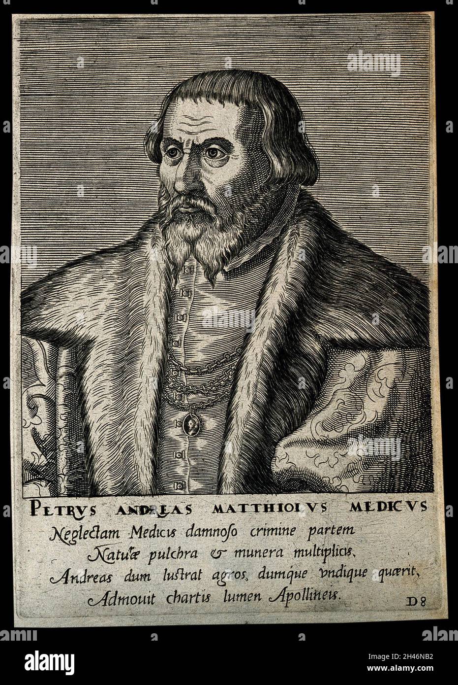 Pietro Andrea Mattioli. Linienstich von P. Galle, 1572, nach C. de Papi dell'Altissimo. Stockfoto