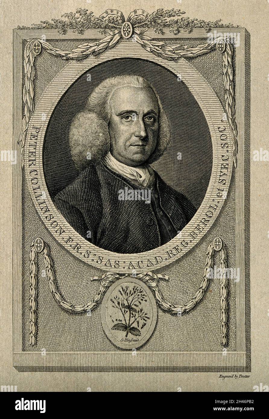 Peter Collinson. Linienstich von T. Trotter, 1783. Stockfoto