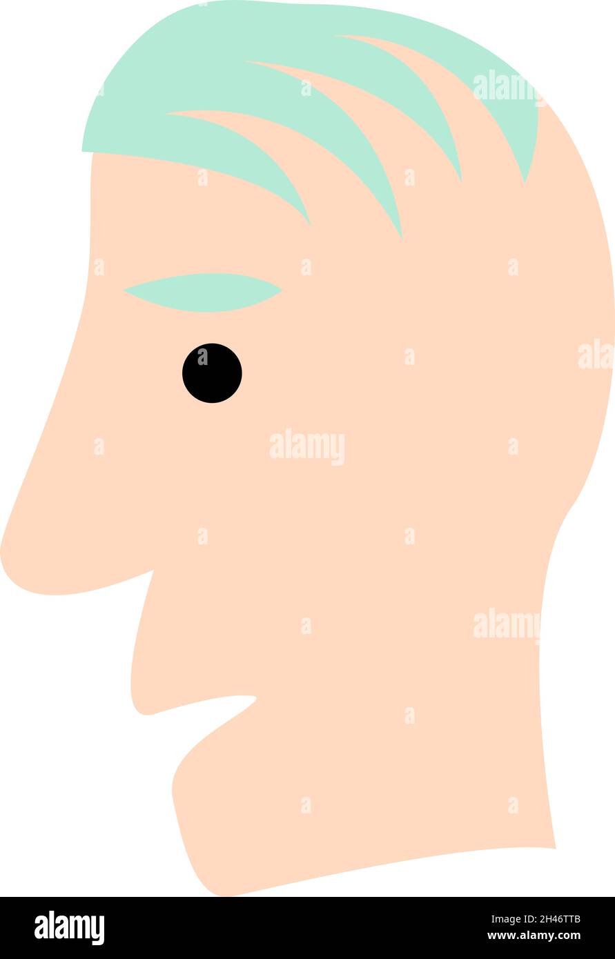 Mann mit kleiner Menge an Haaren, Illustration, Vektor, auf weißem Hintergrund. Stock Vektor