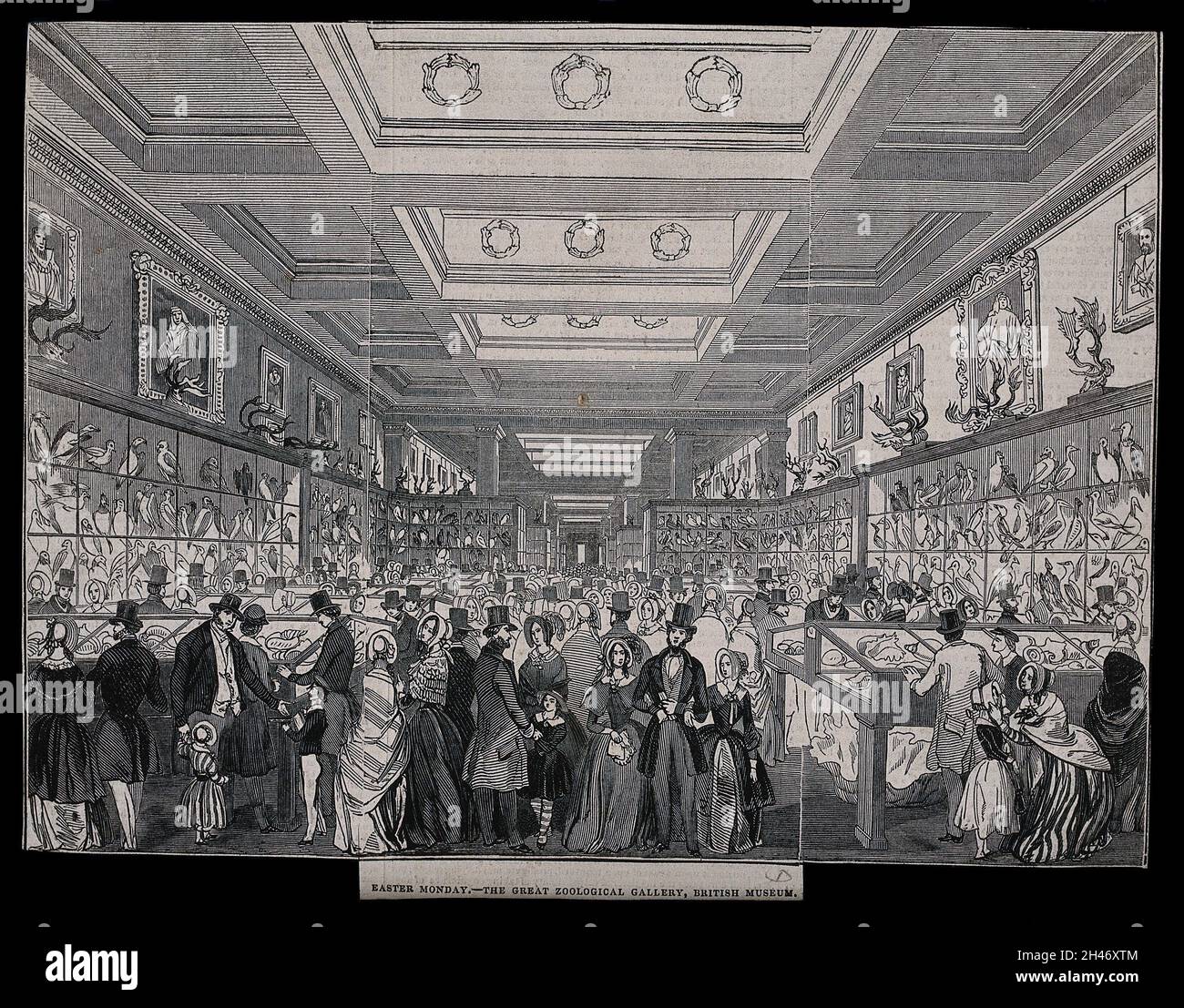 Das Britische Museum: Die Zoologische Galerie, überfüllt mit Urlaubsbesuchern. Holzstich, 1845. Stockfoto