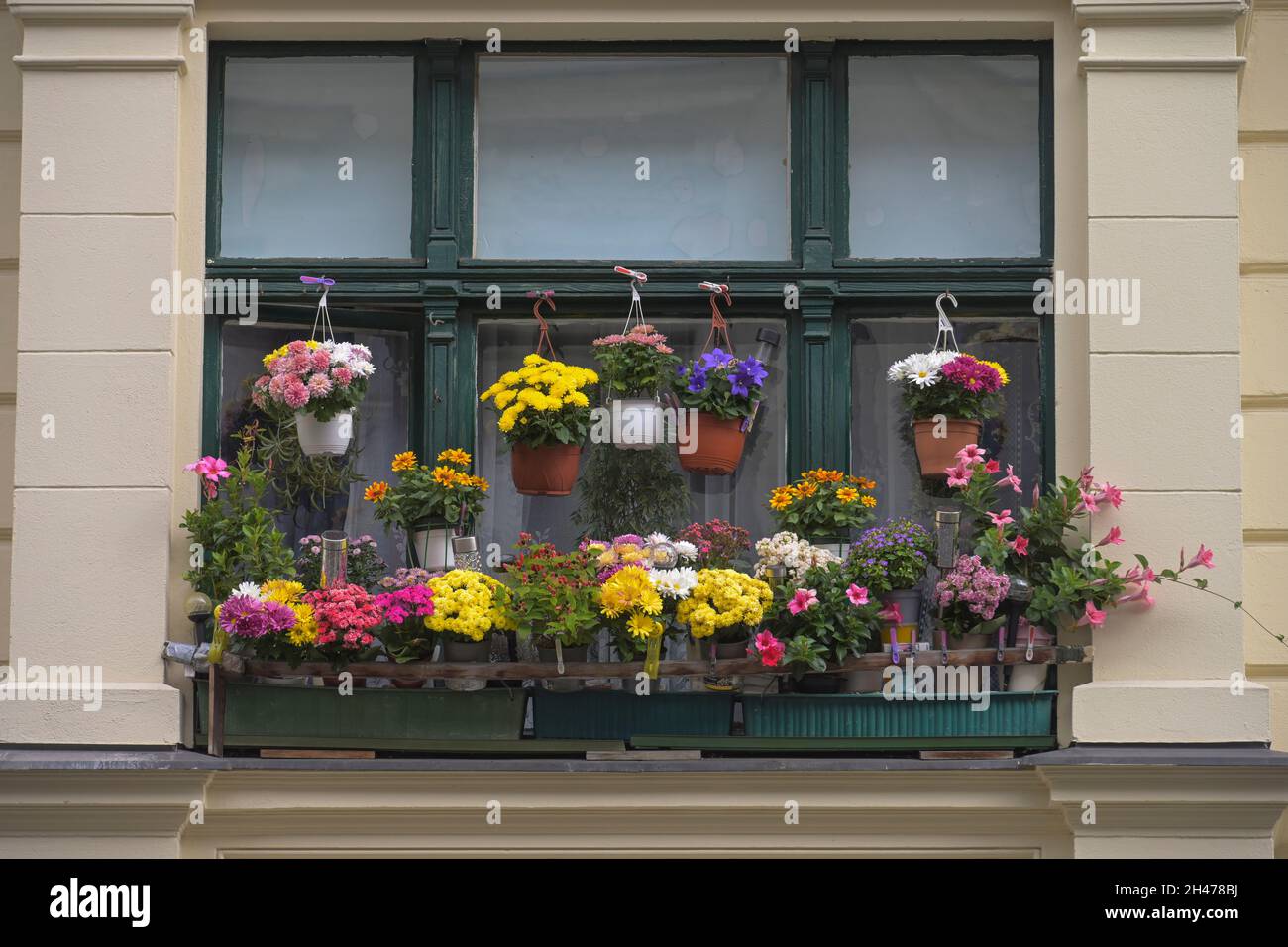 Balkon, Blumen, Kolonnenstraße, Schöneberg, Tempelhof-Schöneberg, Berlin, Deutschland Stockfoto