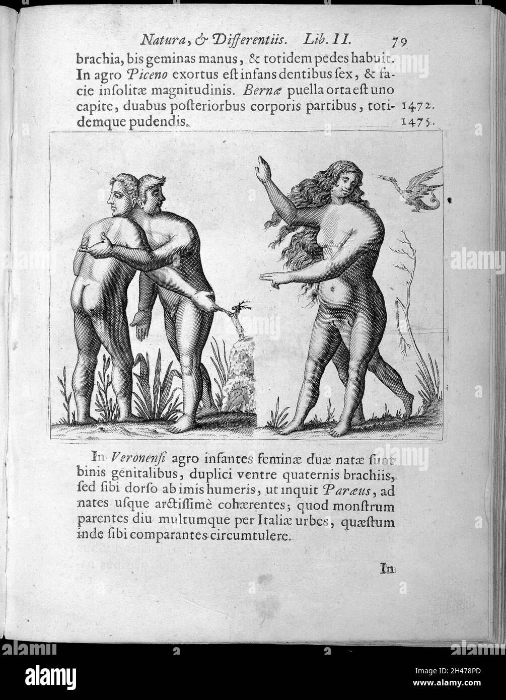 Zwei menschliche Figuren mit Anomalien, eine männliche und eine weibliche Figur Stockfoto Zwei menschliche Figuren mit Anomalien, eine männliche und eine weibliche Figur Stockfoto