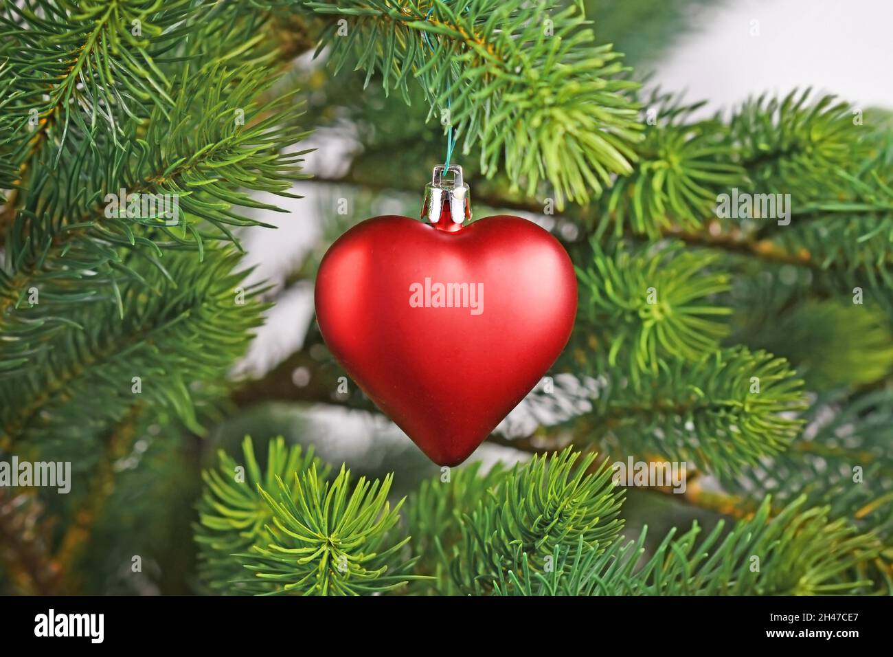 Rote herzförmige Weihnachtskugel auf geschmücktem Weihnachtsbaum Stockfoto