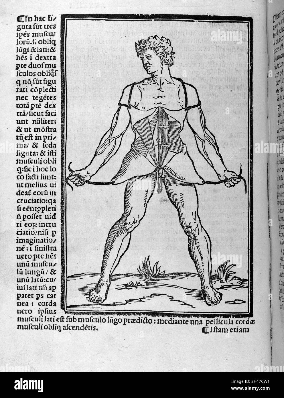 Männliche Figur, die die Haut seines Rumpfes offen hält Stockfoto