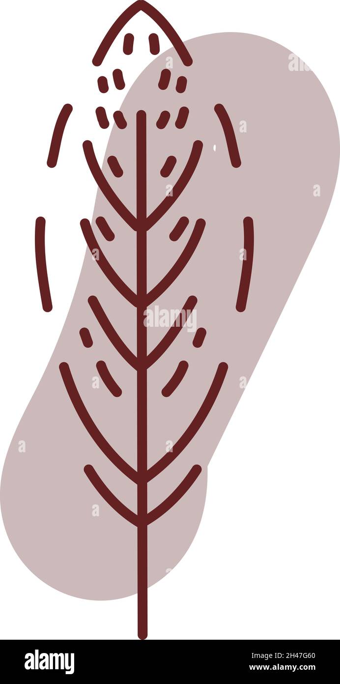 Feine runde Feder, Illustration, Vektor, auf weißem Hintergrund. Stock Vektor